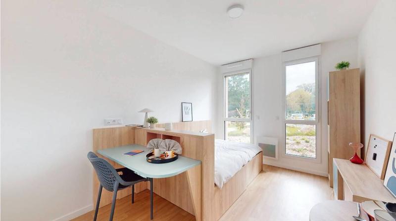 Studio - 19 m² - 1 pièce