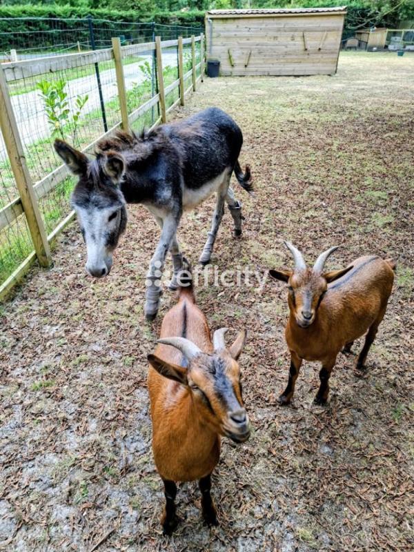 Demeure - 262 m² - 12 pièces