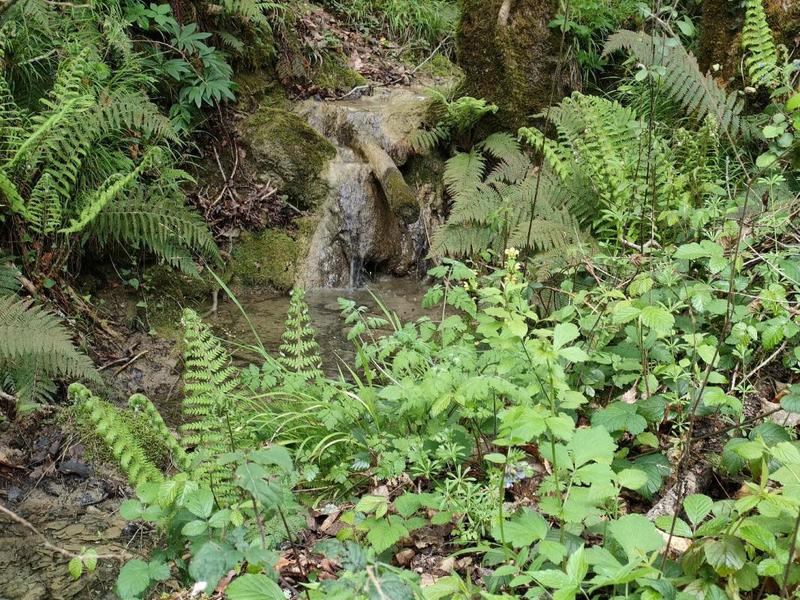 Maison de campagne - 570 m² - 20 pièces