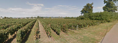 Maison - 313 m² - 8 pièces