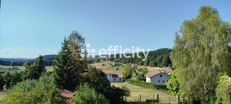 Maison - 240 m² - 10 pièces