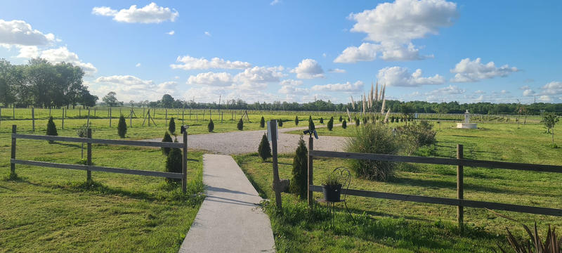 Maison - 268 m² - 8 pièces