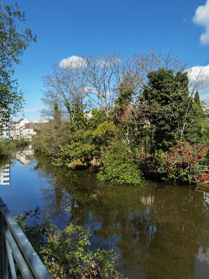 Appartement - 24 m² - 1 pièce