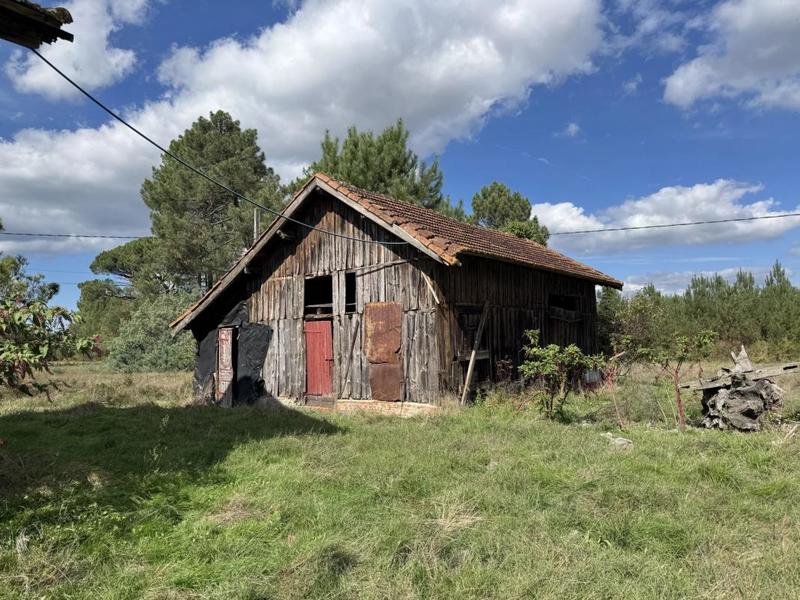 Maison de maîtres - 175 m² - 9 pièces