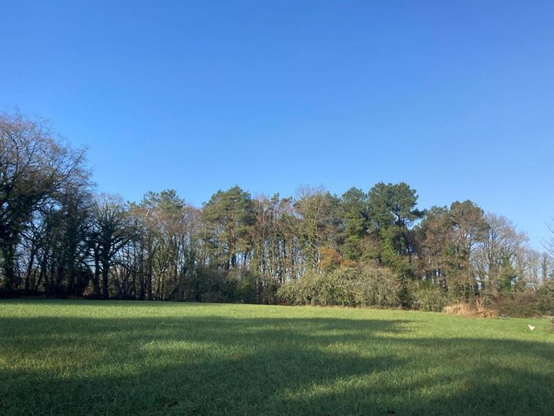 Terrain - 12 500 m²