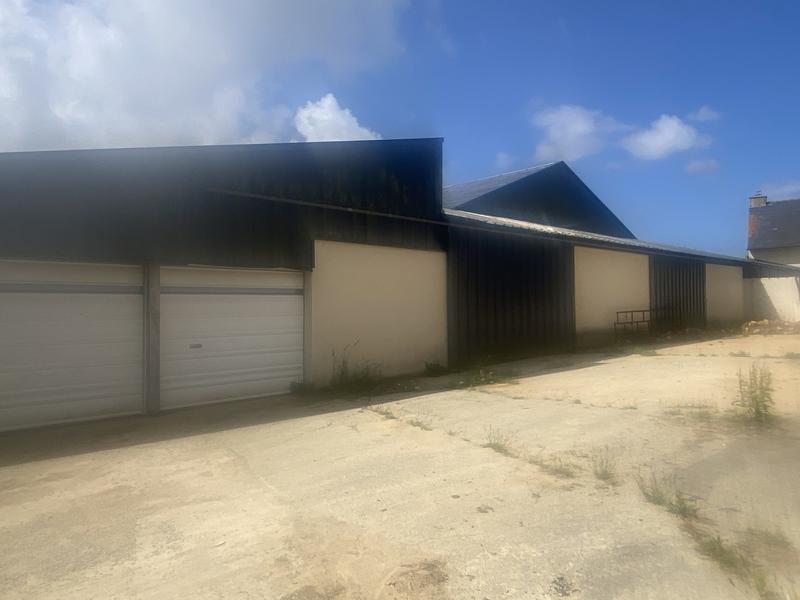 Maison ancienne - 350 m² - 13 pièces