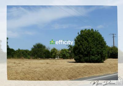Terrain - 1 070 m²