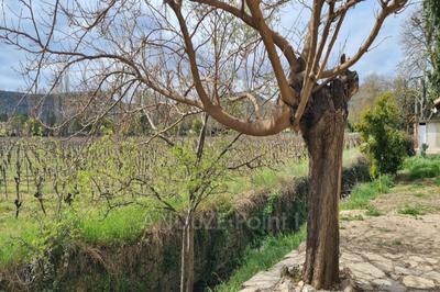 Maison - 95 m² - 6 pièces