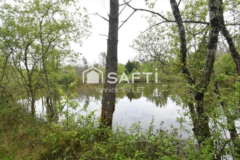 Maison - 207 m² - 10 pièces