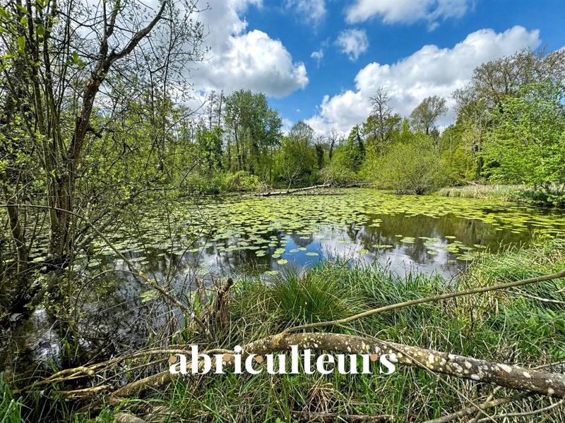 Château - 1 000 m² - 16 pièces