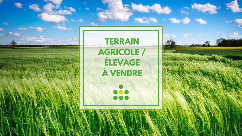 Terrain agricole - 32 610 m²