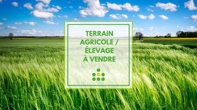 Terrain agricole - 32 610 m²