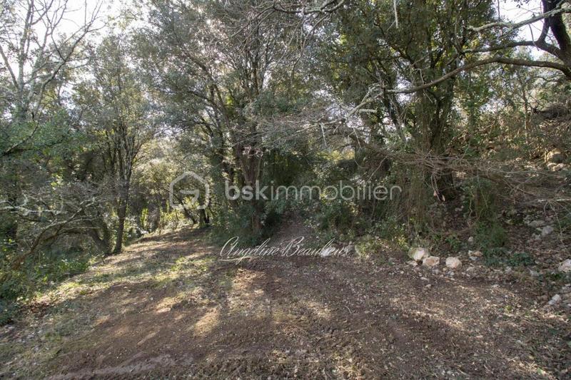 Terrain constructible - 1 881 m²