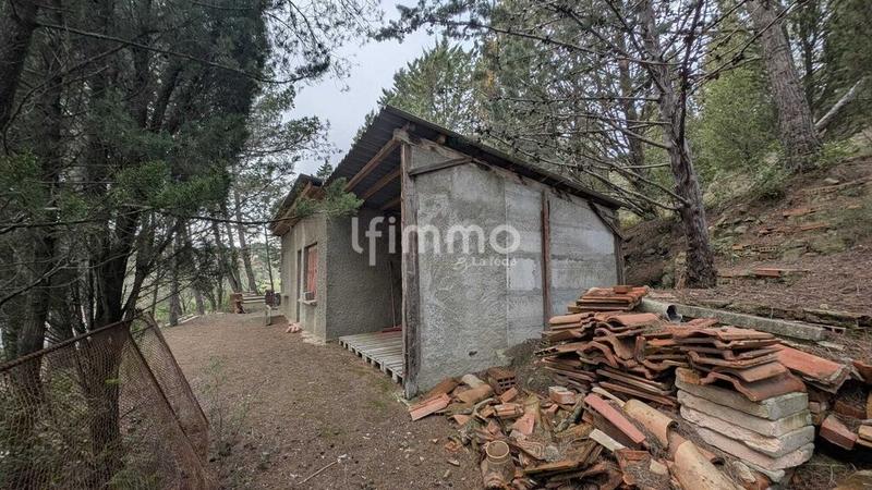 Terrain - 13 051 m²