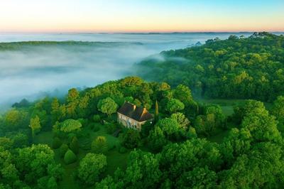 Château - 550 m² - 15 pièces