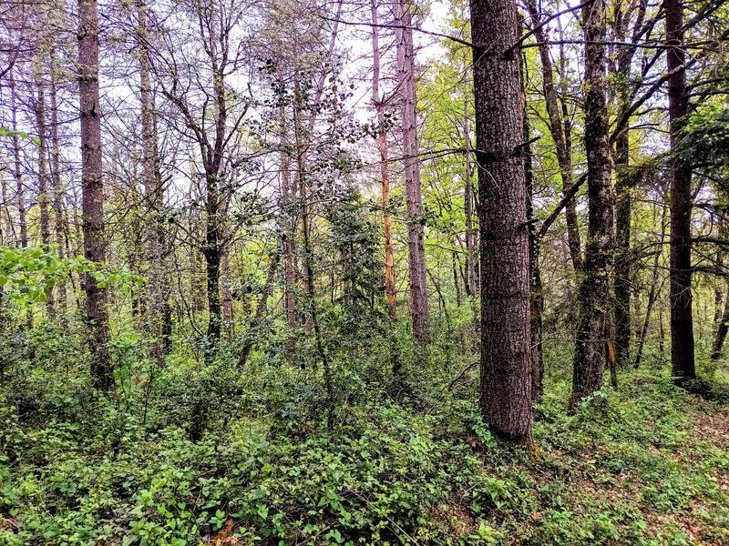 Maison - 209 m² - 10 pièces