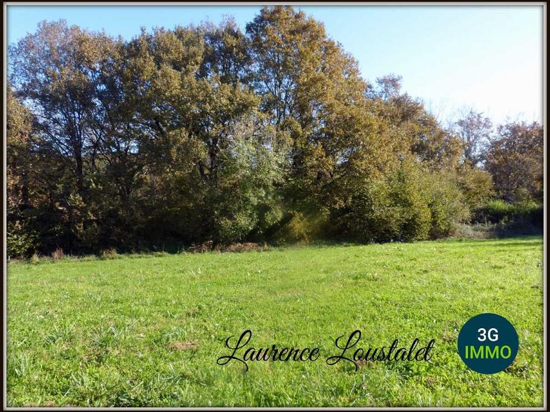 Terrain constructible - 1 389 m²