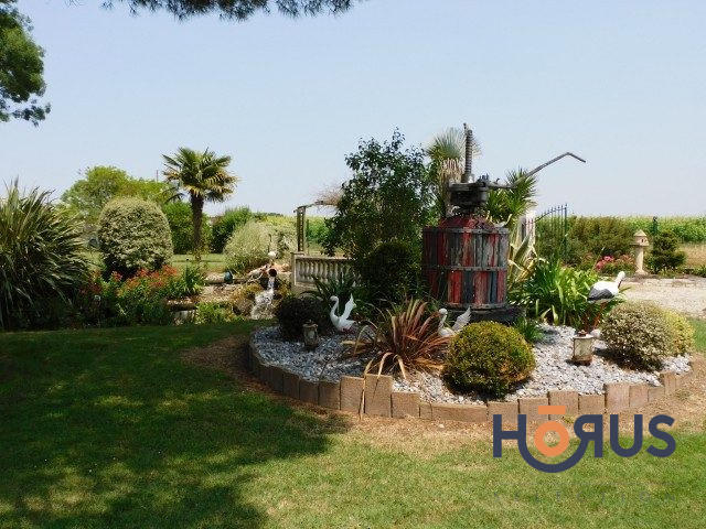 Viager - Maison ancienne - 367 m² - 14 pièces