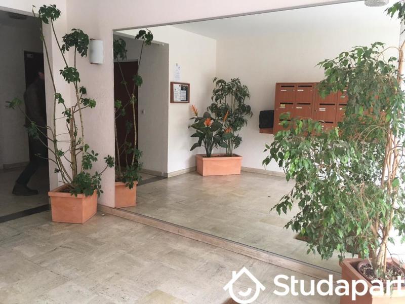 Appartement - 50 m² - 2 pièces