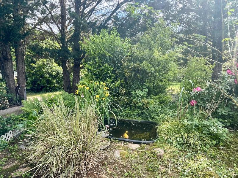 Maison en pierre - 255 m² - 8 pièces