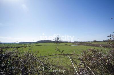 Maison - 176 m² - 7 pièces