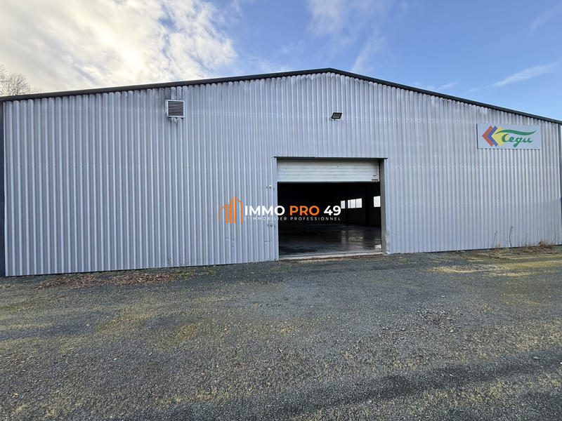 Local d'activités - 600 m² - 6 pièces
