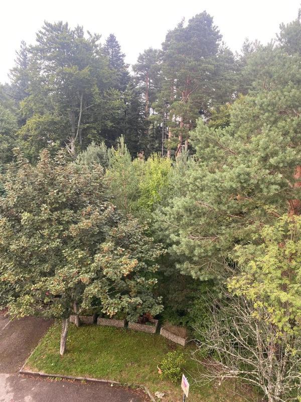 Studio - 34 m² - 1 pièce