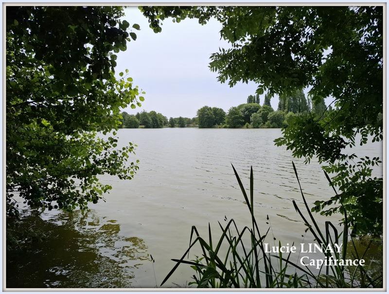 Immeuble - 1 040 m²