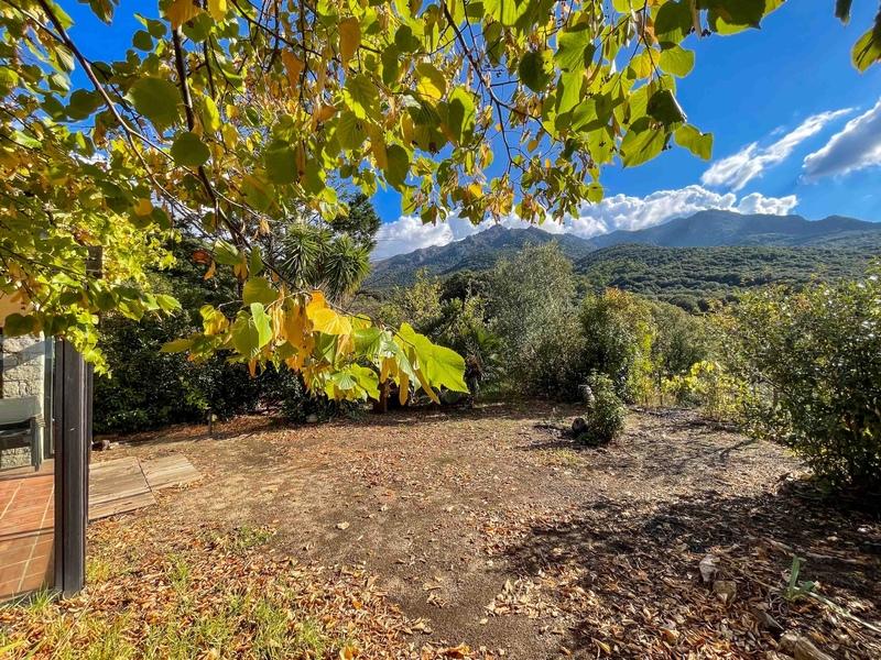 Maison en pierre - 178 m² - 6 pièces