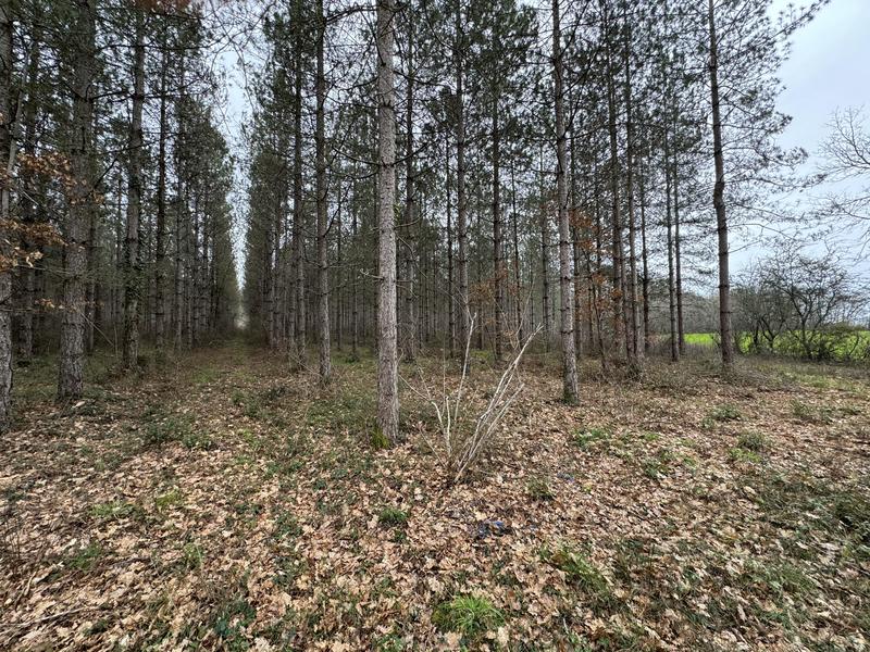 Terrain - 33 570 m²