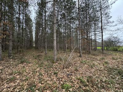 Terrain - 33 570 m²