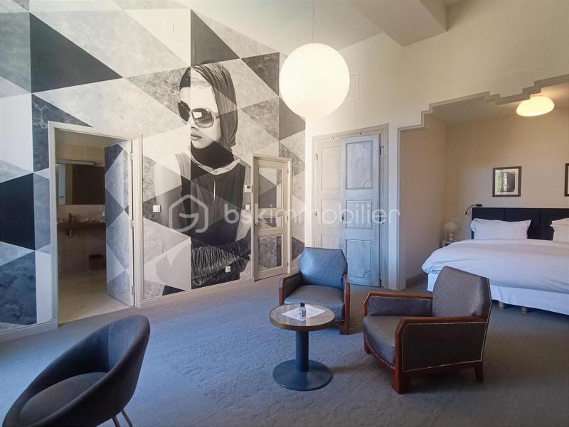 Hôtel particulier - 650 m² - 17 pièces