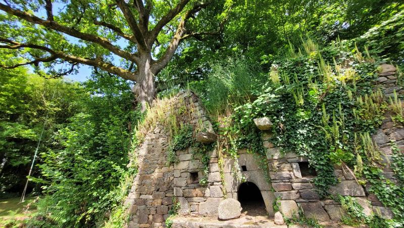 Propriété - 535 m² - 22 pièces