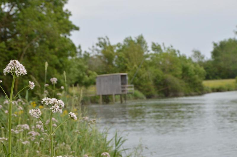 Terrain constructible - 773 m²