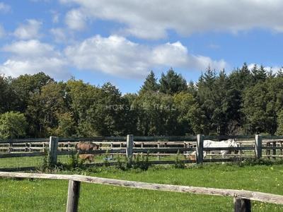 Maison - 310 m² - 7 pièces