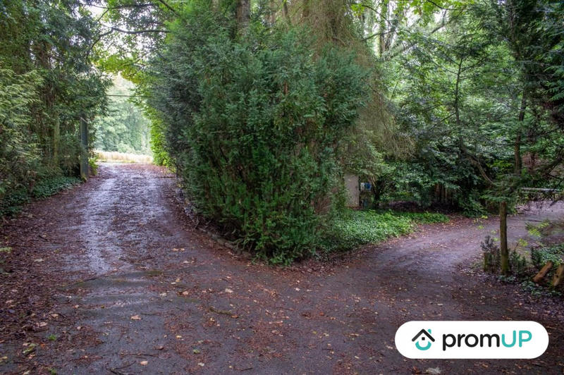 Terrain de loisirs - 6 460 m²