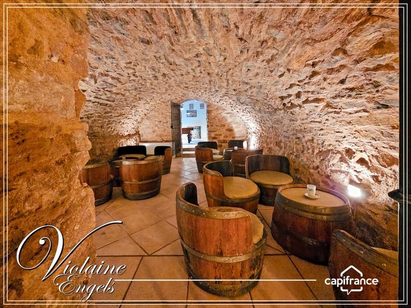 Propriété - 234 m² - 8 pièces