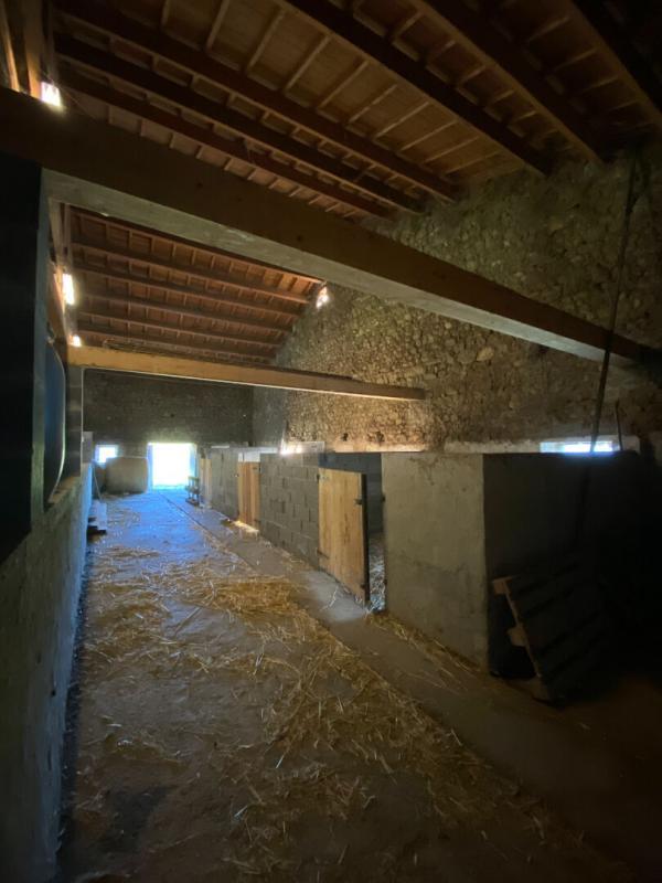 Corps de ferme - 350 m² - 6 pièces