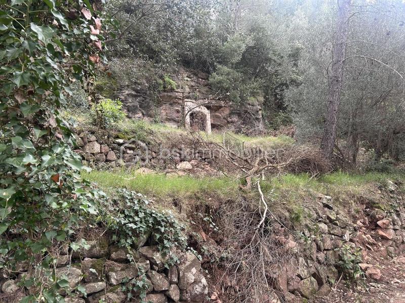 Terrain de loisirs - 3 684 m²