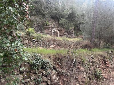 Terrain de loisirs - 3 684 m²