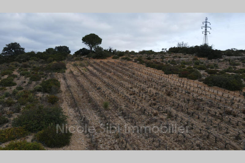 Terrain agricole - 2 880 m²