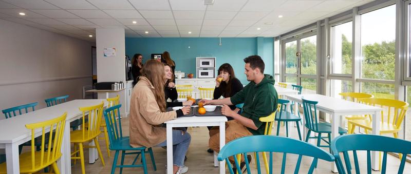 Studio - 14 m² - 1 pièce