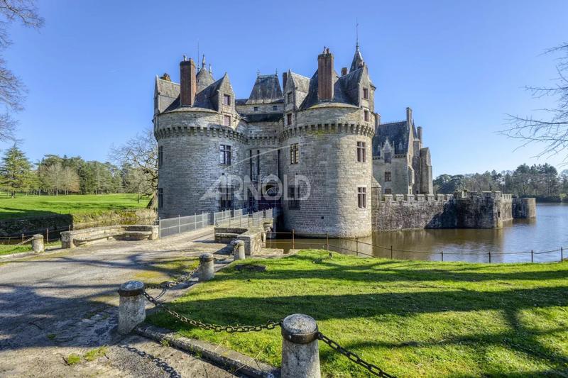 Château - 292 m² - 8 pièces