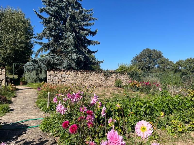 Maison - 186 m² - 5 pièces