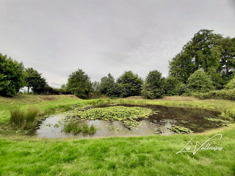 Maison - 220 m² - 6 pièces