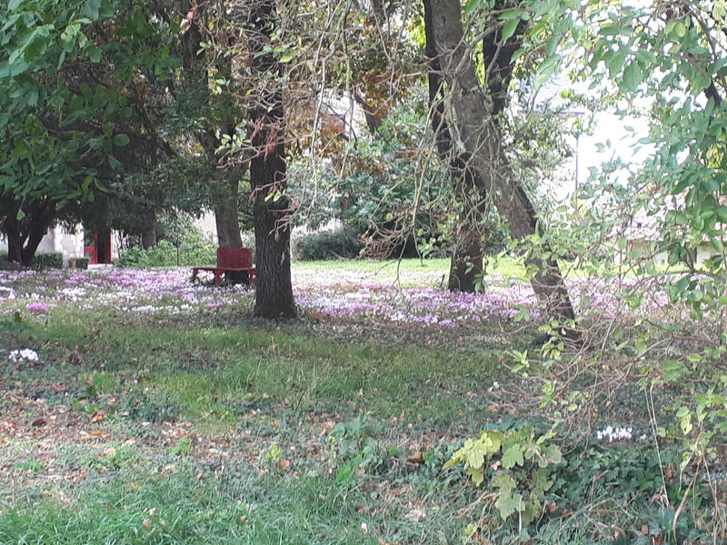 Château - 670 m² - 15 pièces