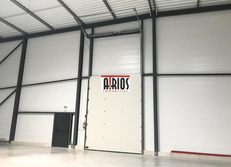 Entrepôt - 1 557 m²