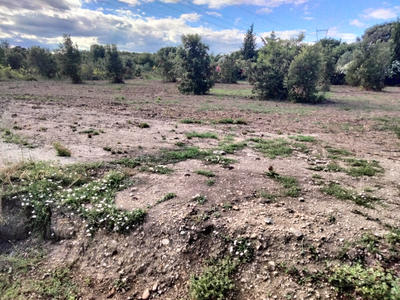 Terrain - 970 m²