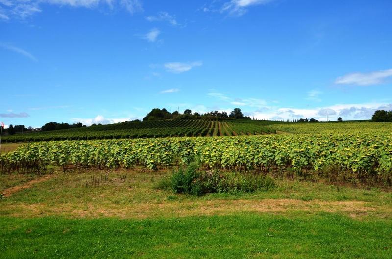 Maison de campagne - 438 m² - 18 pièces