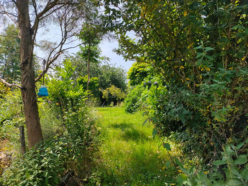 Maison - 60 m² - 2 pièces